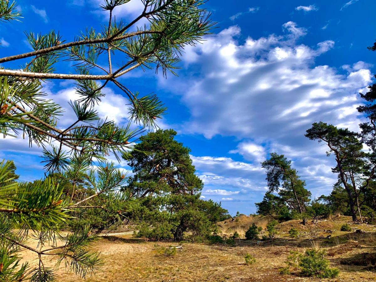 Bonte Specht: Tot Rust Komen In De Natuur! Отерло Екстериор снимка