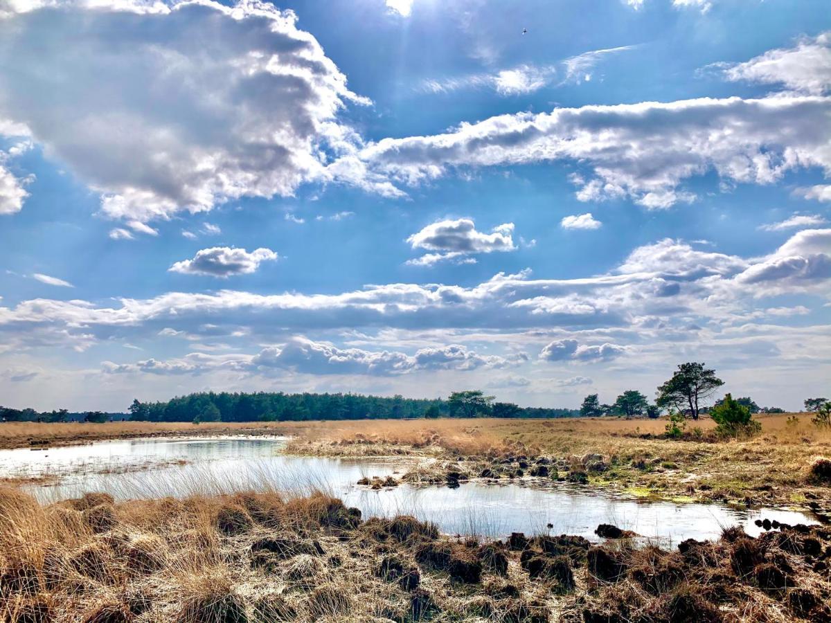 Bonte Specht: Tot Rust Komen In De Natuur! Отерло Екстериор снимка